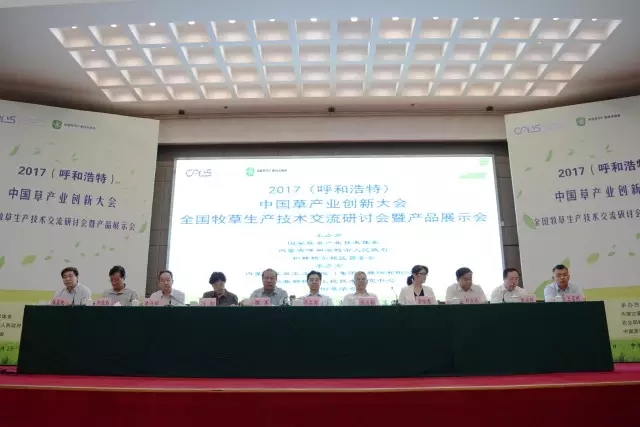 领航国际官方网站图片