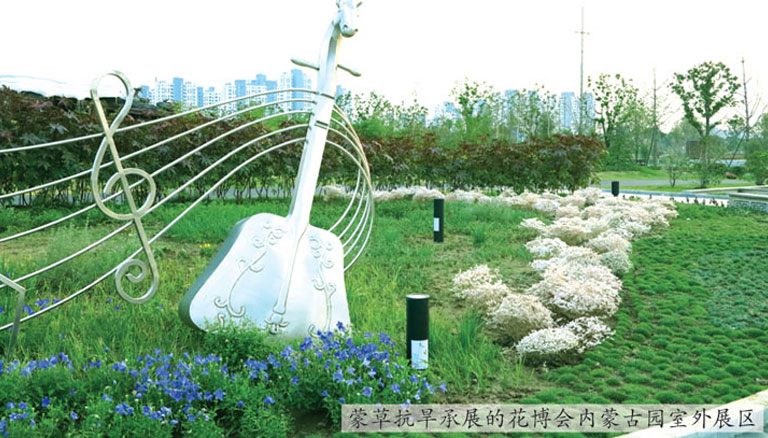 领航国际 86373