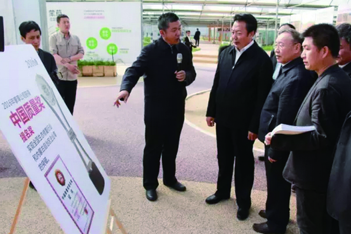 领航国际官方网站图片