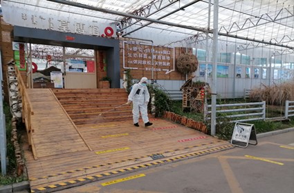 领航国际 0fc03