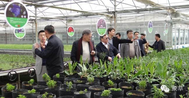 领航国际 215bd