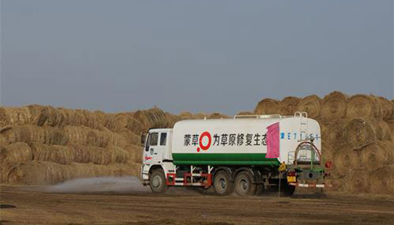 领航国际 064da
