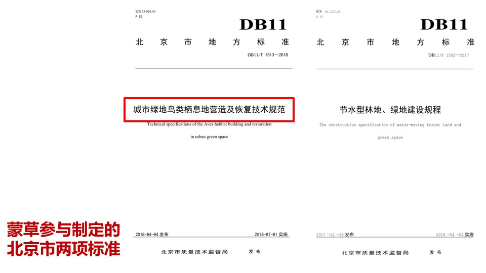 20191119/33ef52b462aeb7e1c0b624eea308facc.JPG 领航国际 0d465