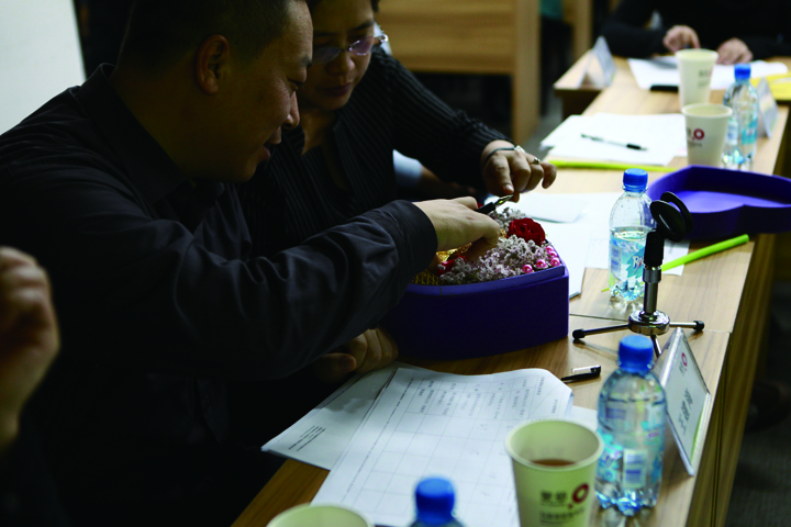 领航国际官方网站图片