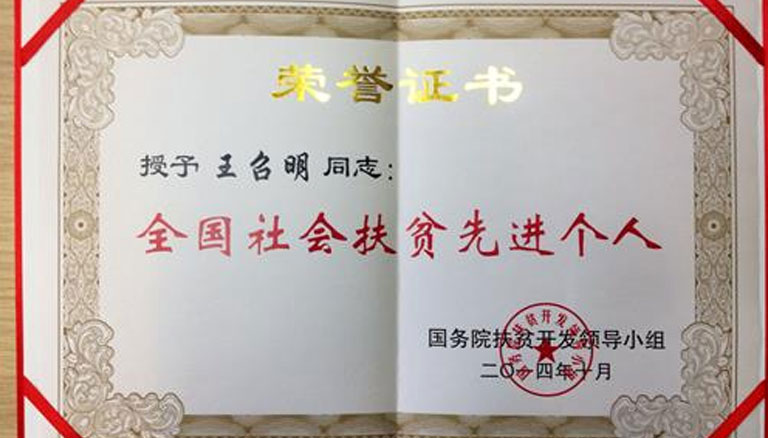 领航国际 413da