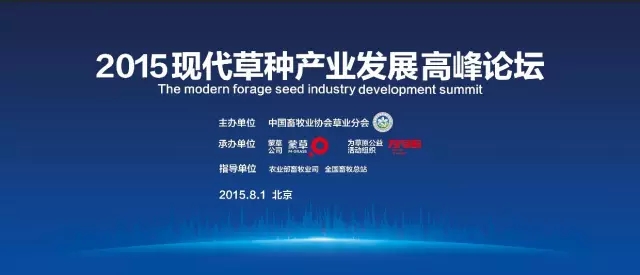 领航国际官方网站图片