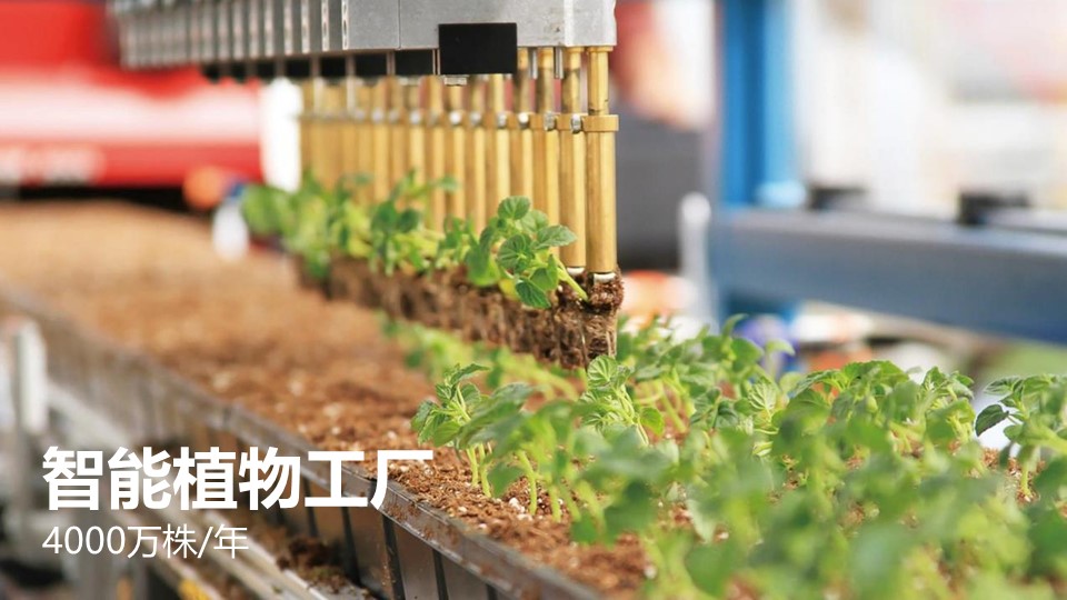 20191119/1b4c2d5453de158e3ebfbceffcd65159.JPG 领航国际 2760e