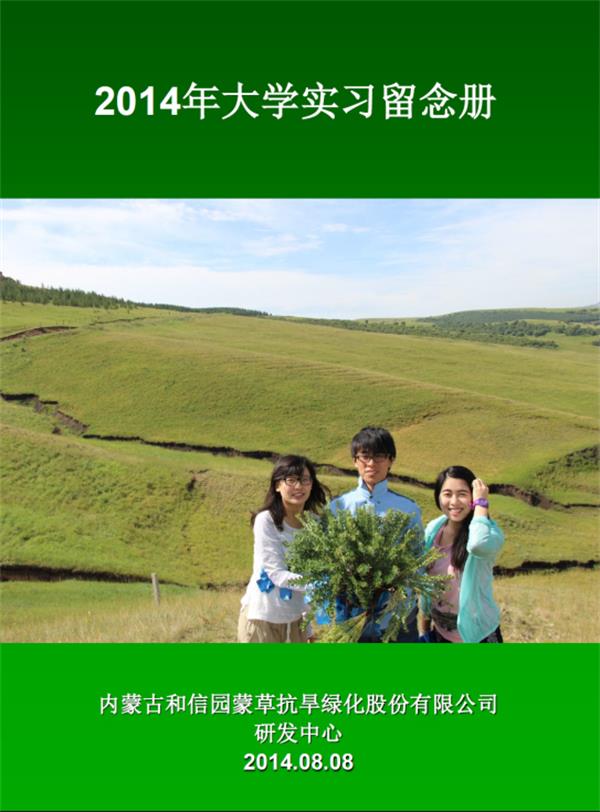领航国际 d1b30