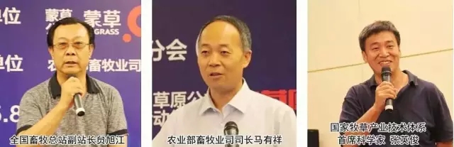 领航国际官方网站图片