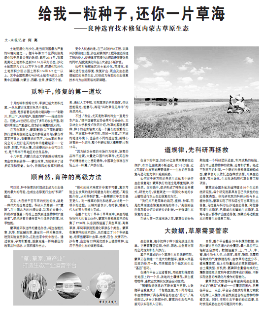 领航国际 bfa0c