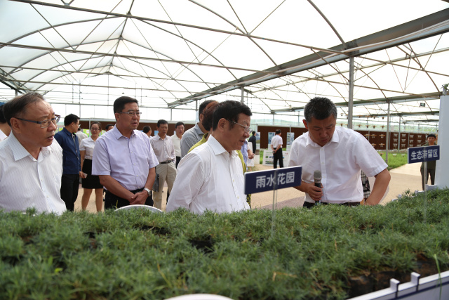 领航国际 df148