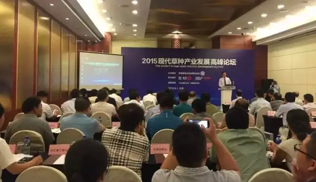领航国际官方网站图片