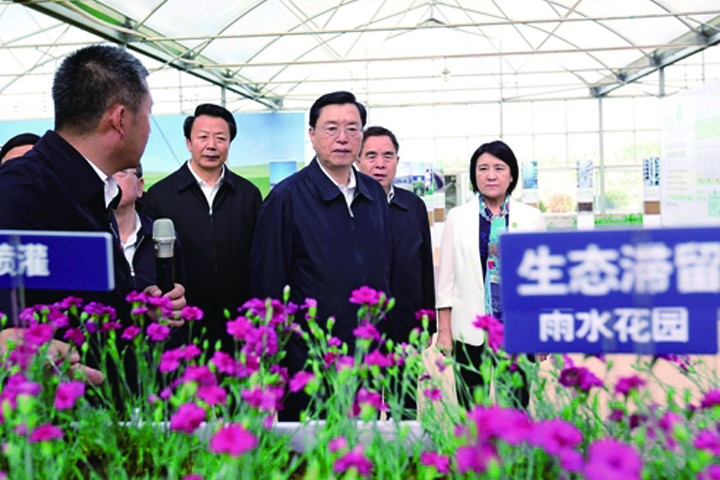 领航国际官方网站图片