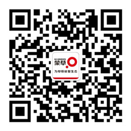领航国际官方网站图片
