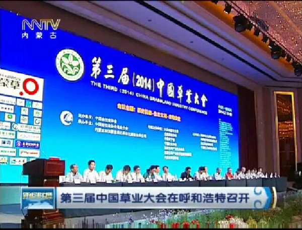 领航国际官方网站图片