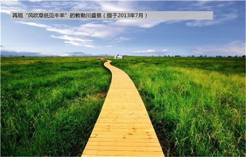 领航国际 3df6c