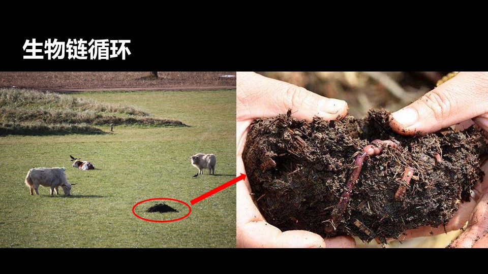 20191119/63bb6add9632e53b4001880ded5ffb1c.JPG 领航国际 0f366