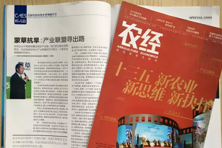 领航国际官方网站图片