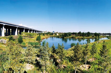 领航国际 76c11