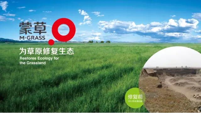 领航国际 00c16