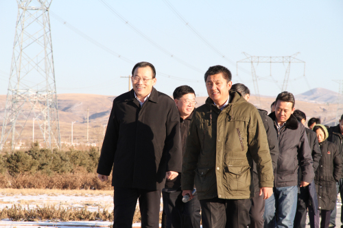 领航国际官方网站图片