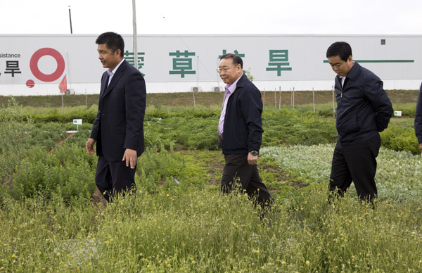 领航国际官方网站图片