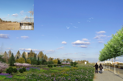 领航国际 10172