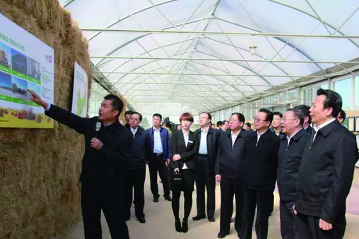 领航国际官方网站图片