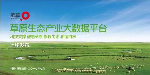 领航国际官方网站图片