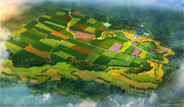 领航国际官方网站图片