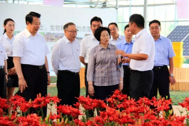 领航国际 8ed64