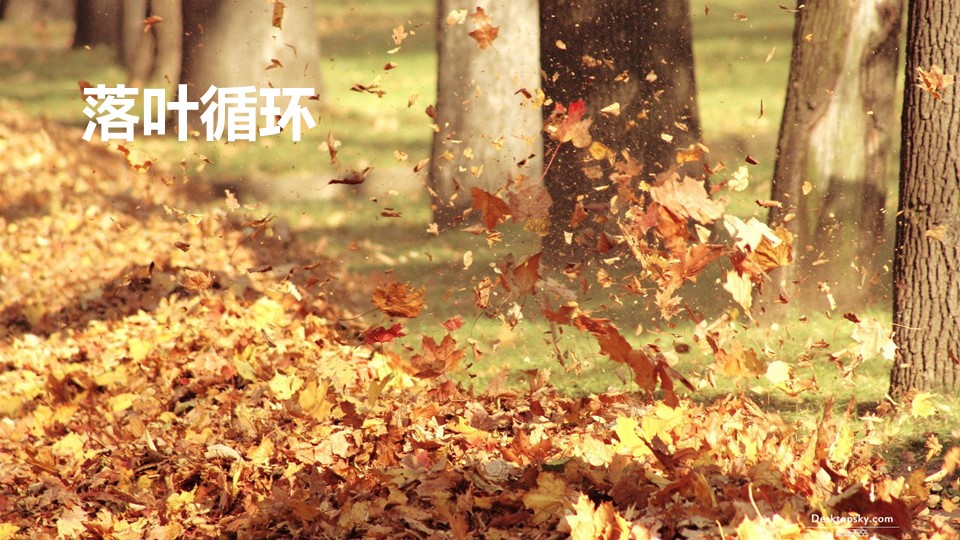 20191119/4ada1da4f636e4cfc146e972f5b37d22.JPG 领航国际 607e5