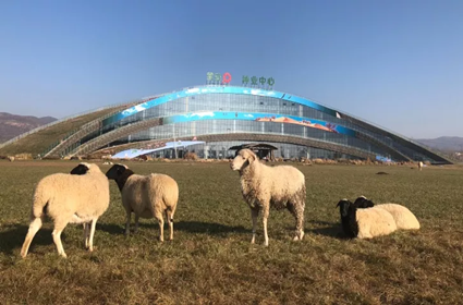 领航国际 9f248