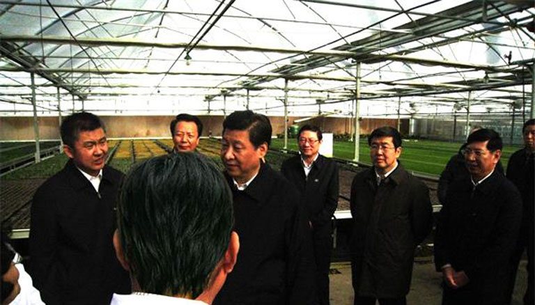领航国际 39137
