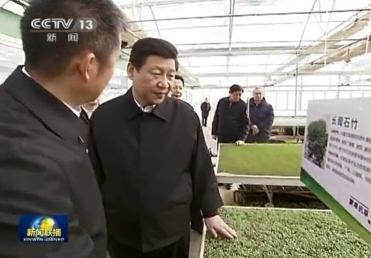 领航国际官方网站图片