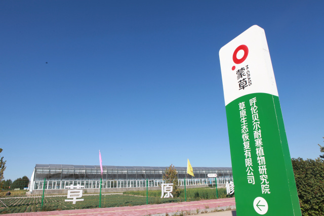 领航国际 ccc82