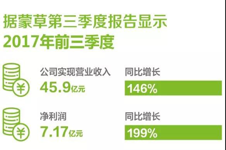 领航国际官方网站图片