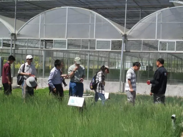 领航国际官方网站图片