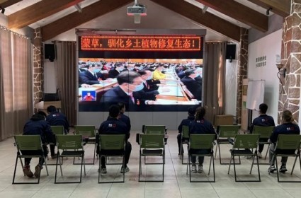 领航国际 e3784