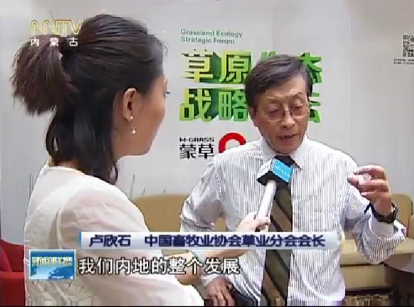 领航国际官方网站图片