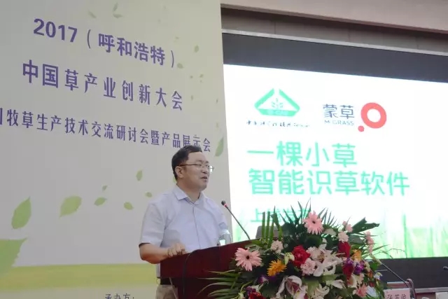 领航国际官方网站图片