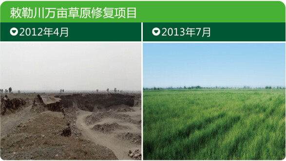 领航国际官方网站图片