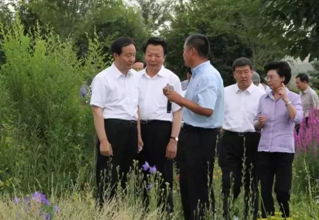 领航国际官方网站图片