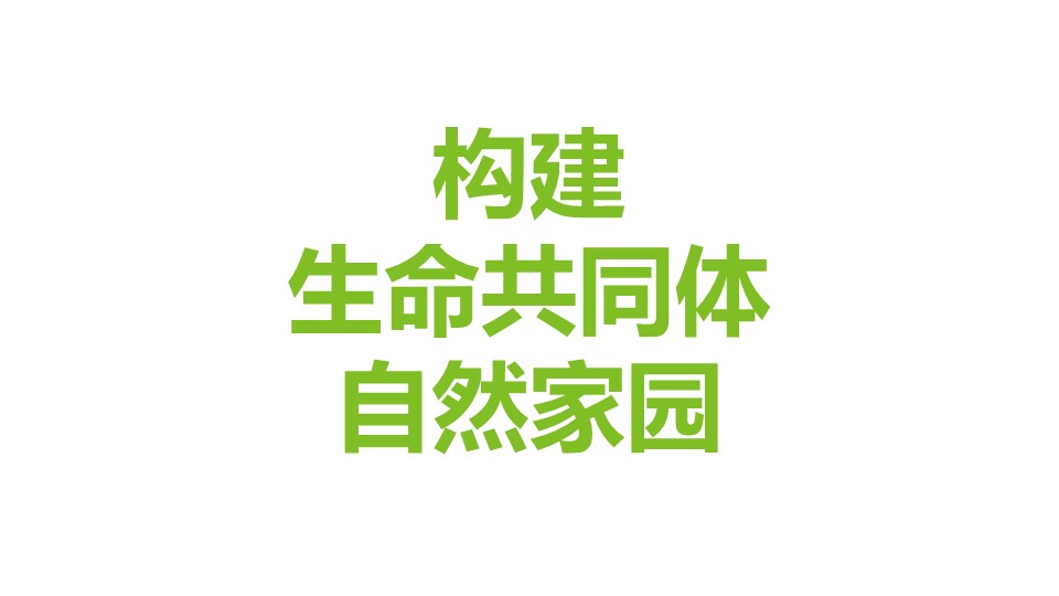 20191119/8516d1a26ed8d22632822b4003b64112.JPG 领航国际 080e2