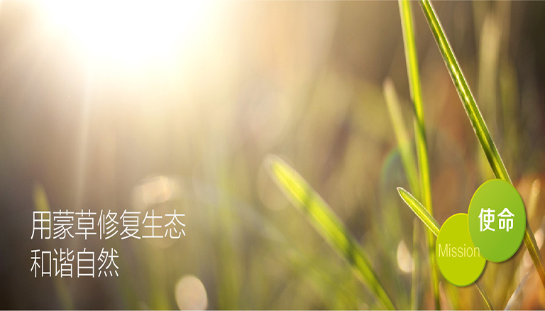 领航国际 d0b65