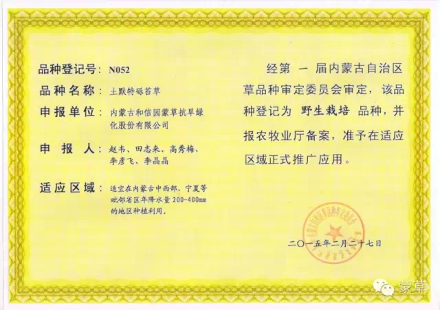 领航国际官方网站图片