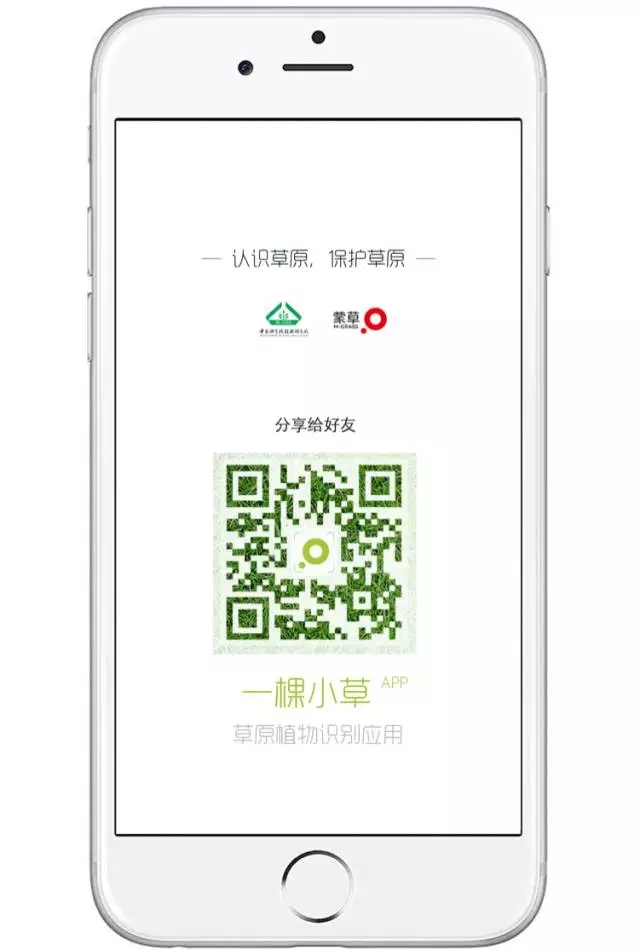 领航国际官方网站图片