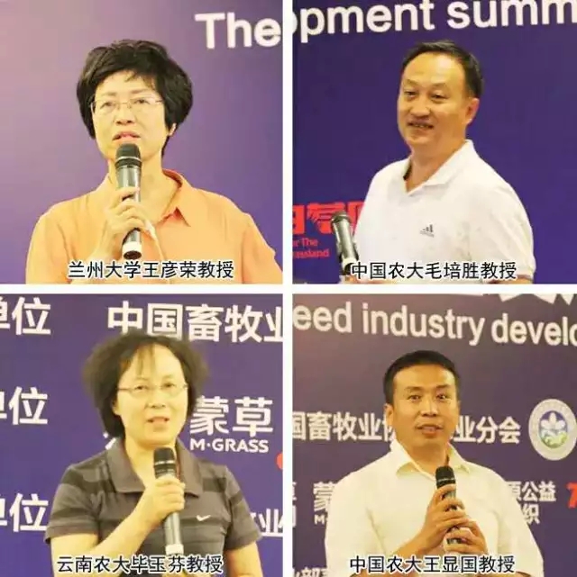 领航国际官方网站图片