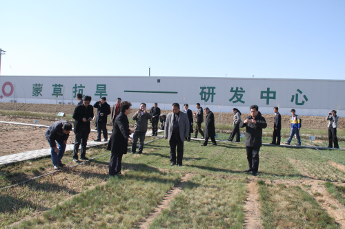 领航国际官方网站图片