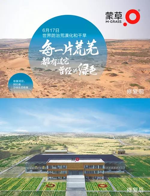 领航国际官方网站图片